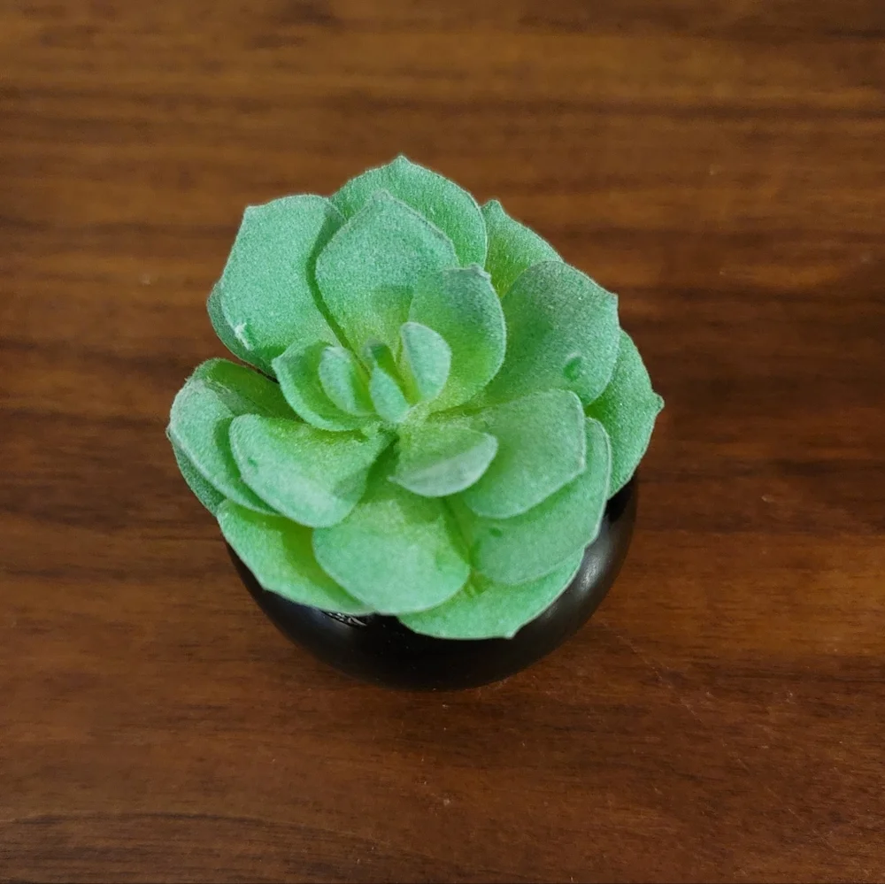 Set of 3 Mini Faux Succulents in Black Ceramic Planters